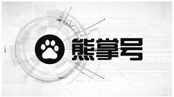 熊掌號注冊時怎么選擇合適的賬號類型？