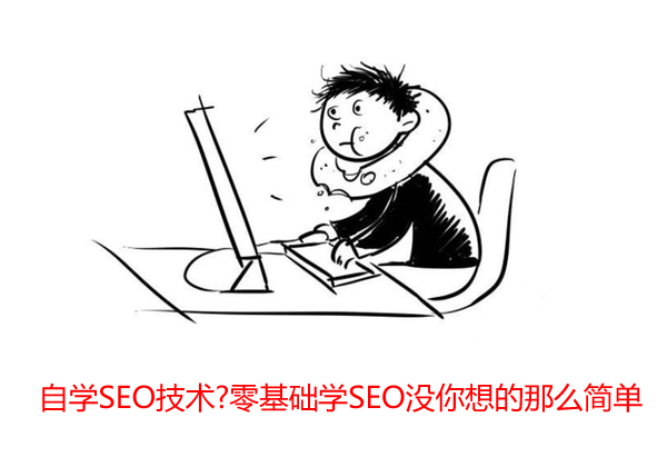自學(xué)SEO技術(shù)?零基礎(chǔ)學(xué)SEO沒你想的那么簡單 第一張