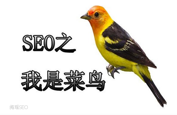 影響網(wǎng)站排名的重要因素：信任度與權(quán)威度
